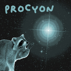 Procyon