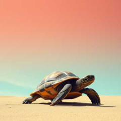 Tired of Turtling (Folk)