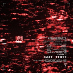 GOT THAT (cubewireframe Release)