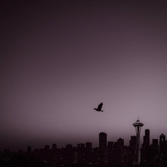 the way i should (she saved me)