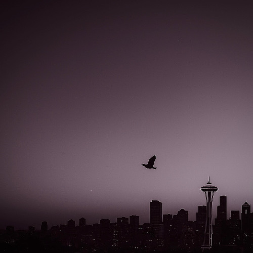 the way i should (she saved me)