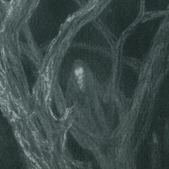 Surrexerunt Igitur Vesperi