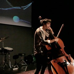 A Monkey Reaching for the Moon