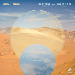 Grateful (North Street West Remix (Instrumental))