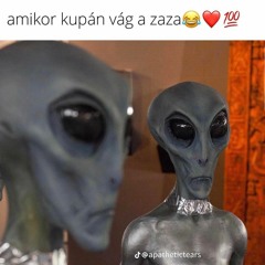 szerelemrol szo sem volt (mannequin flip)