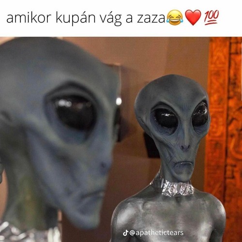 szerelemrol szo sem volt (mannequin flip)