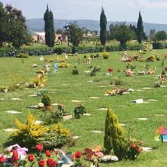 Ruido Sin Forma w/ Blunderphonic - Día de Muertos - 051125