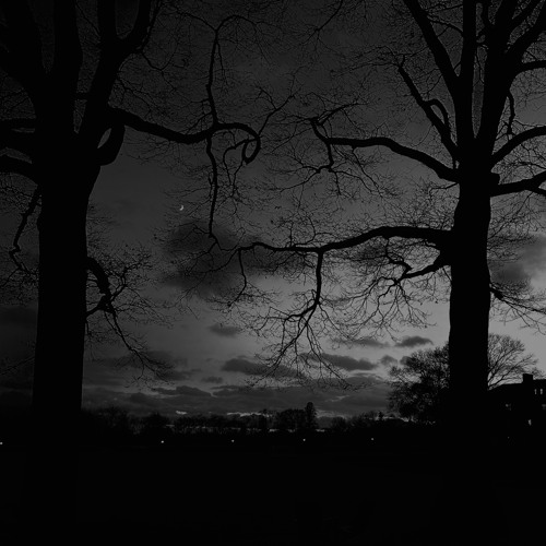 spooky-ah synths // tv show title sequence *idea*