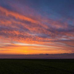 Монстр Под Кроватью