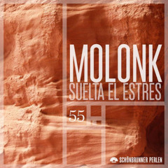 Molonk - Suelta El Estres (Pischinger Remix)