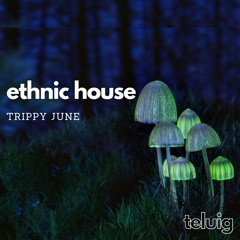 TRiPPY JUNE - Ethnic House