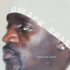 Akon - Smack That - Sachazam remix (FREE DOWNLOAD)
