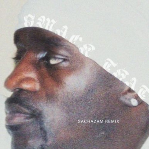 Akon - Smack That - Sachazam remix (FREE DOWNLOAD)