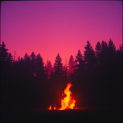 Fear of Fire