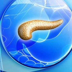 Pancreatic Insufficiency Assist | Boost Enzyme Production & Improve Digestion and Absorption