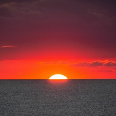 Dj Barcode Tech House Mix May 2024