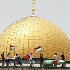 محمد طارق و محمد يوسف - ميدلي فلسطين