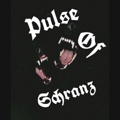 Tom Owen- Schranz Pulse ( FREE DL )