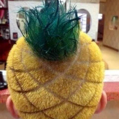 obligatory folk punk song cover