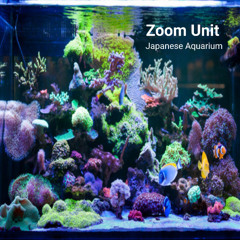 Japanese Aquarium