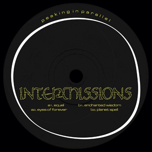 Paddy Lee - Peaking in Parellel / IM001