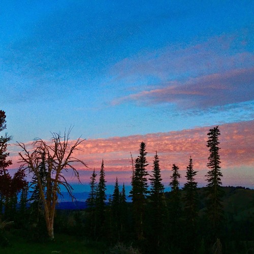 STRIP MINING MUSIC'S PAST, an essay on the ethics of performance practice