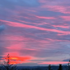 strawberry sky
