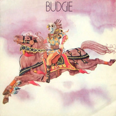 You And I (Budgie Cover)