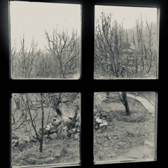 grey sunday