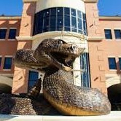 Rattler