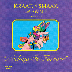 Kraak & Smaak and PWNT - Nothing Is Forever