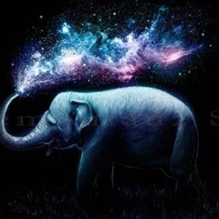 the luck of the elephant