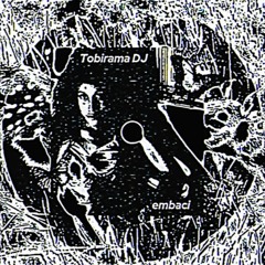embaci - FLIGHT AND DESTRUCTION (Tobirama DJ Edit)