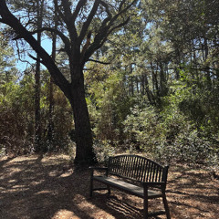 For National Poetry Month Blogpost