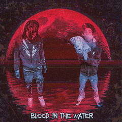 Blood In The Water (Feat.Vellesosmerkish)