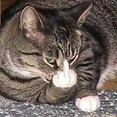 FUCK THAT NIGGA!!(prodbyChefV2)