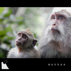 monkee