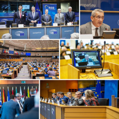 Γ. ΧΑΤΖΗΜΑΡΚΟΣ ΒΡΥΞΕΛΛΕΣ ΓΙΑ ΤΟΥΡΙΣΜΟ - 10.12.2025