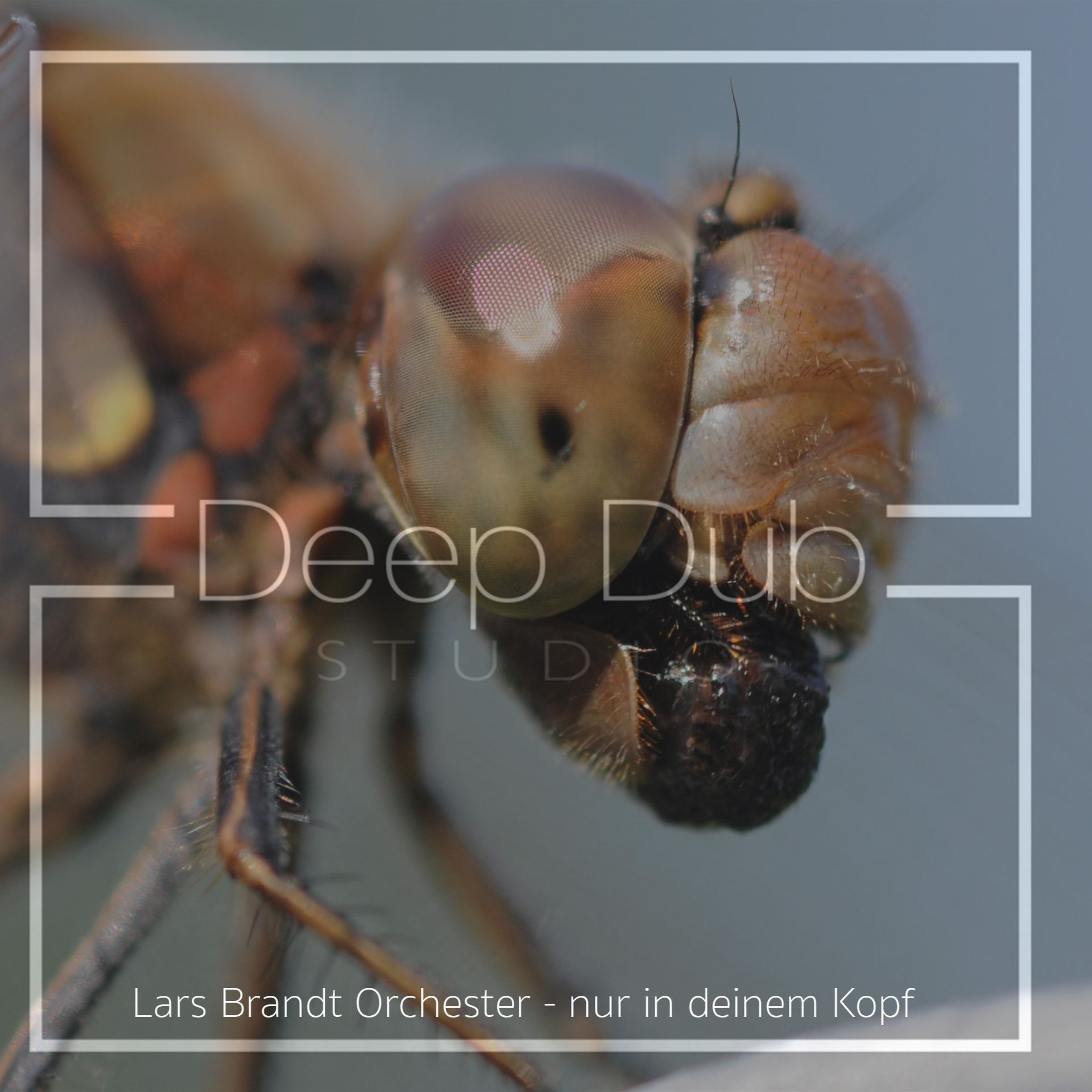 Nur in deinem Kopf (only in Your Head) episode artwork