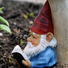 Garden gnome