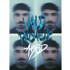 VALD - PROMESSE [ARÖD REMIX]