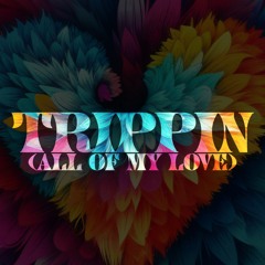 Trippin (All of My Love)