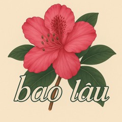 bao lâu v13