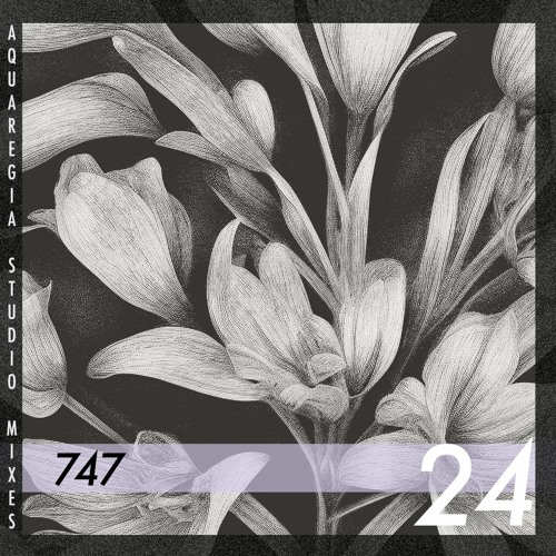 Aquaregia Studio Mix No. 24: 747 - 100% Vinyl | 90s set