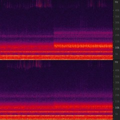 Ultrasonic Sounds recorded by LOM mikroUši