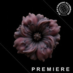 PREMIERE: Amorpho - Superposition (Original mix) [ [This Pleasure]