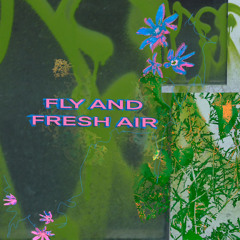 fly&fresh air