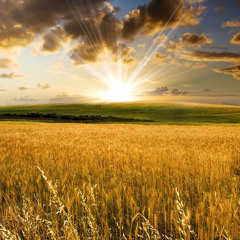 How to Get close to Allah