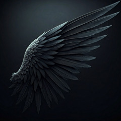 HODSHAB - DarkWing