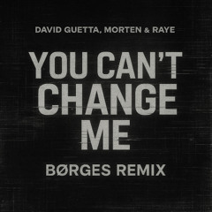 David Guetta, Morten & Raye - You Can't Change (Børges remix)